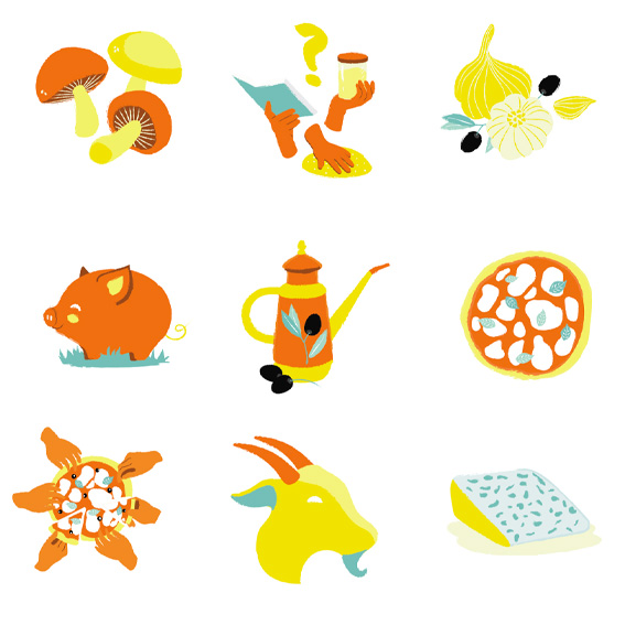 illustration pizzas artisanales