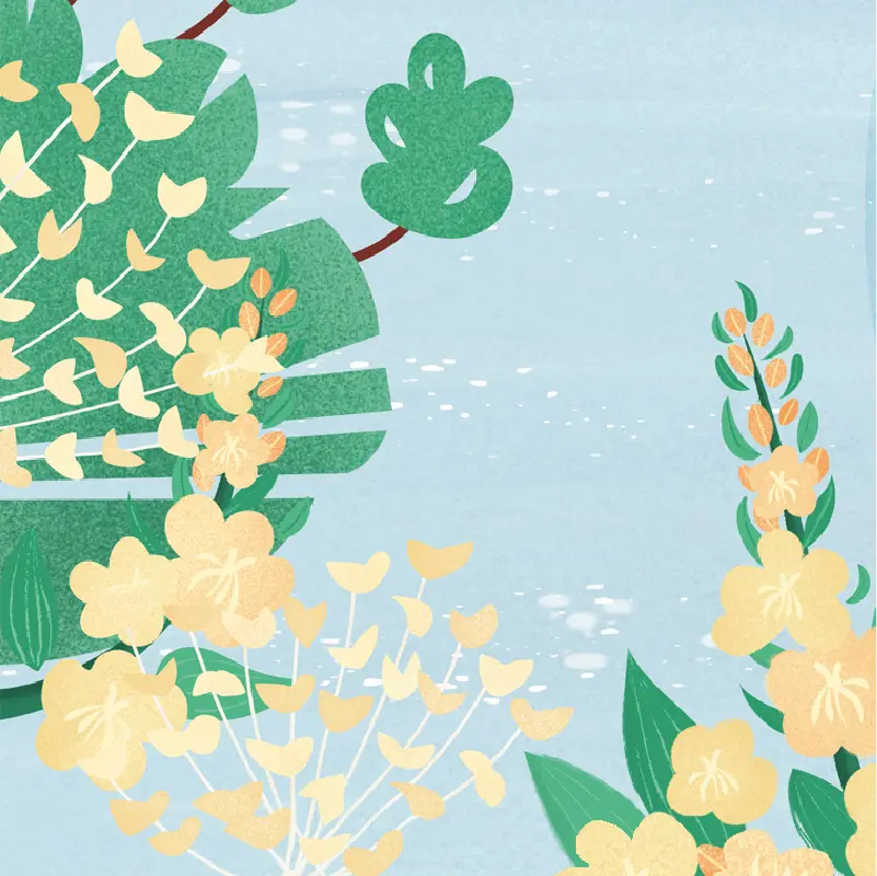 Illustration plantes Toulouse